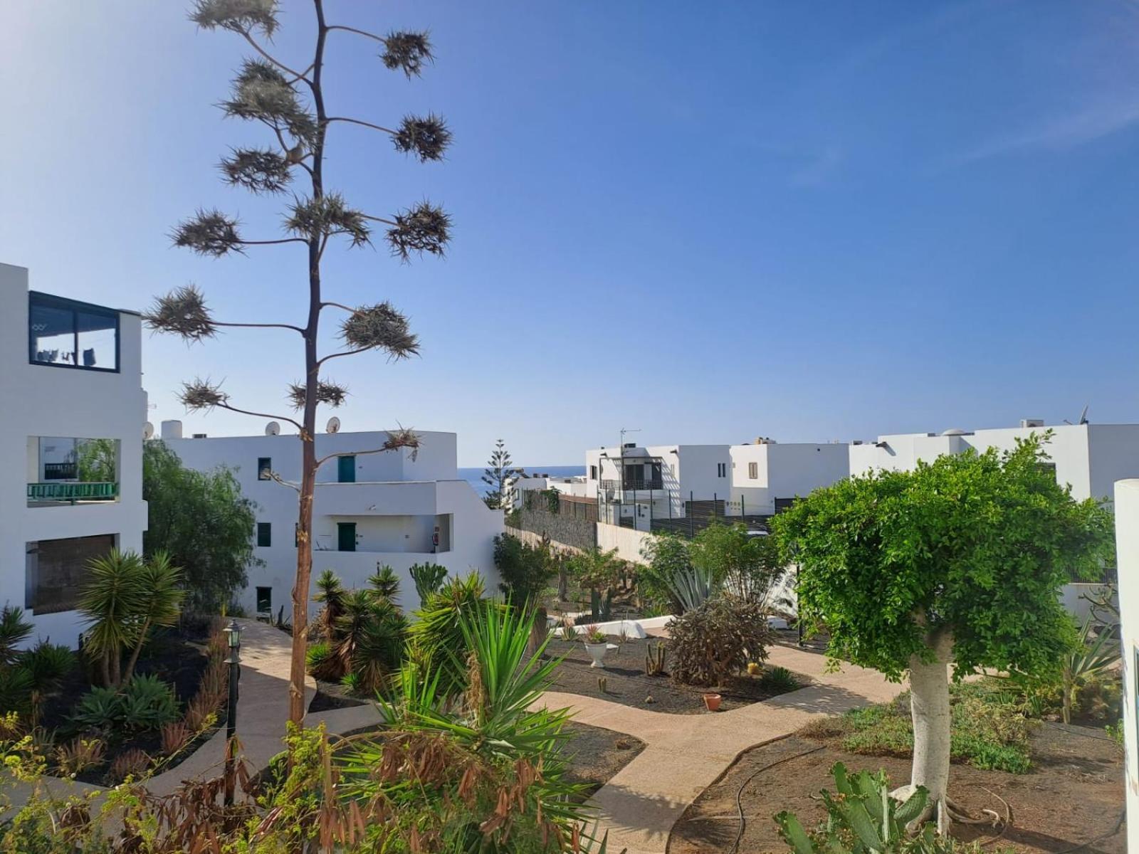 Azul Tuscan Playa Y Piscina Costa Teguise Zewnętrze zdjęcie